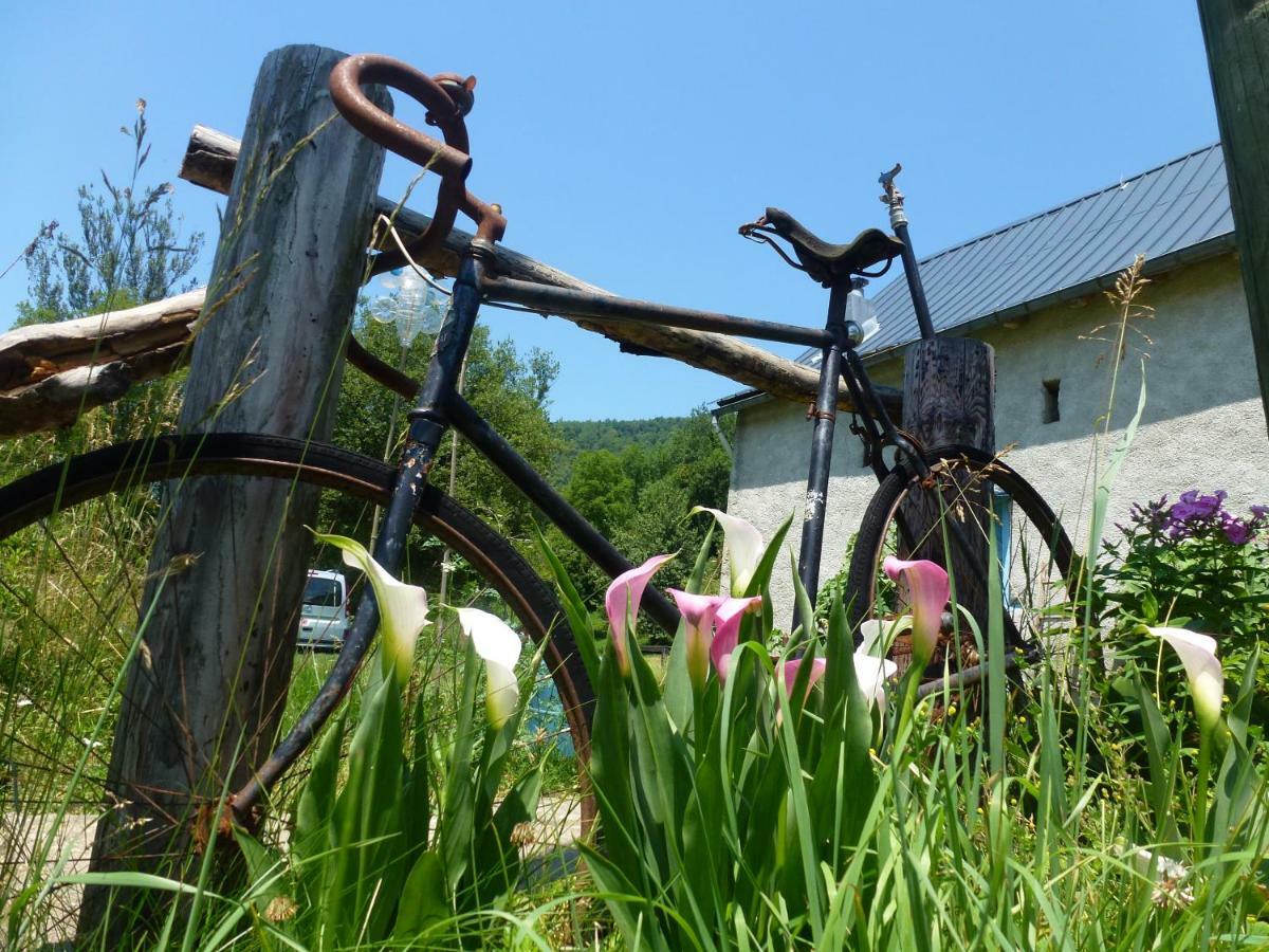 Les Deux Velos Chambres D'Hotes-Table D'Hotes Biert Luaran gambar